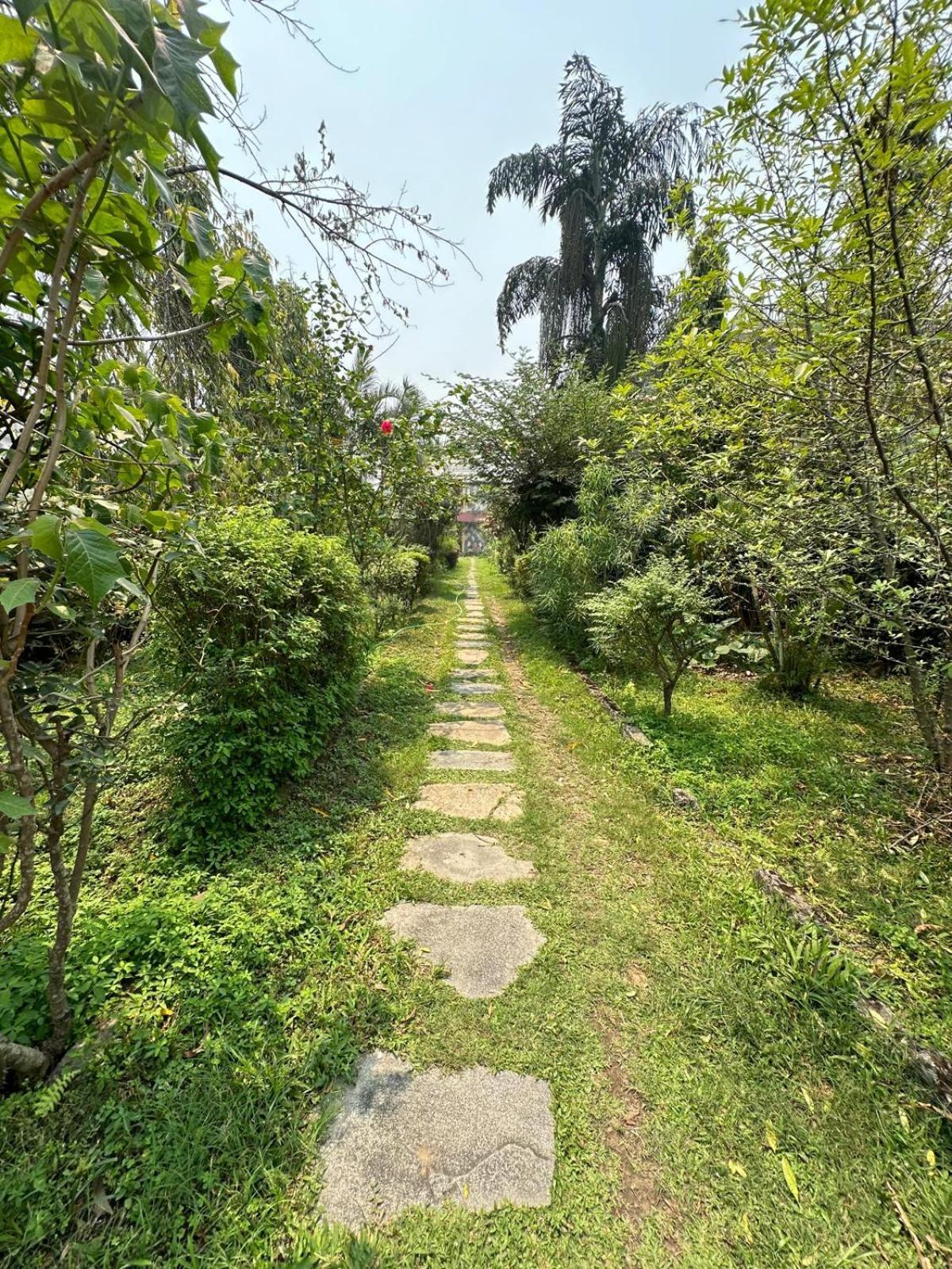 Cherry Garden Покхара Экстерьер фото